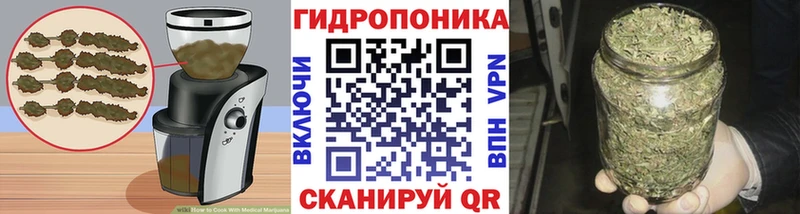 Cannafood конопля mega сайт Волгореченск