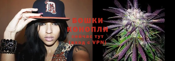 прущая мука Гусь-Хрустальный