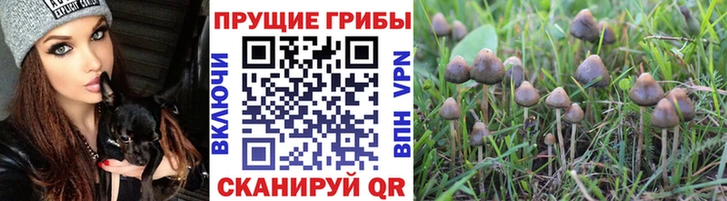 Галлюциногенные грибы мухоморы  Волгореченск 